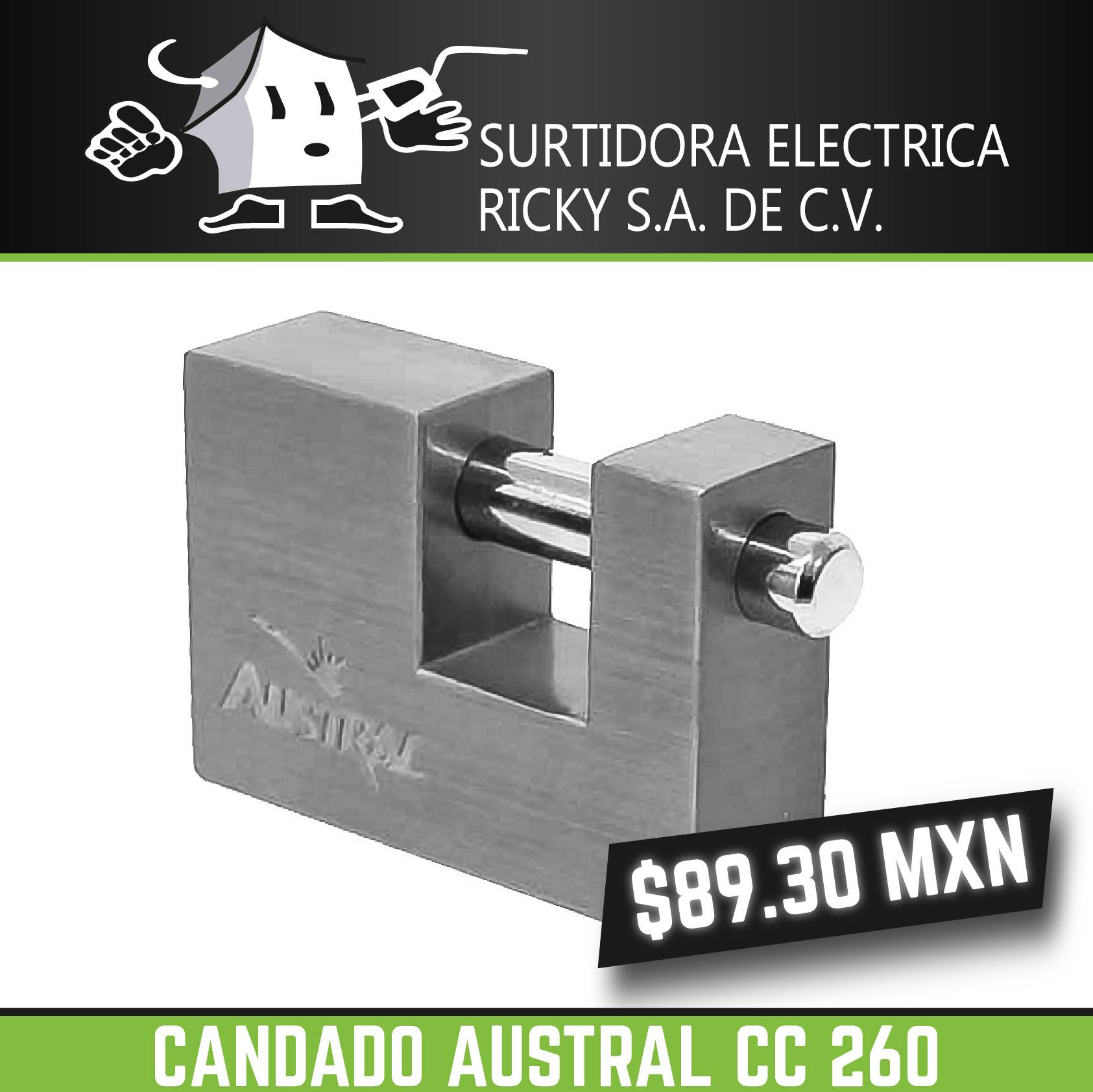 Surtidora Eléctrica Ricky S.A de C.V