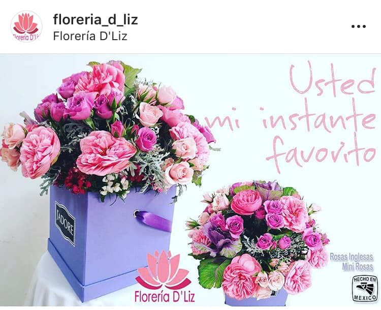 Florería D'Liz - Mercado Palacio de las Flores