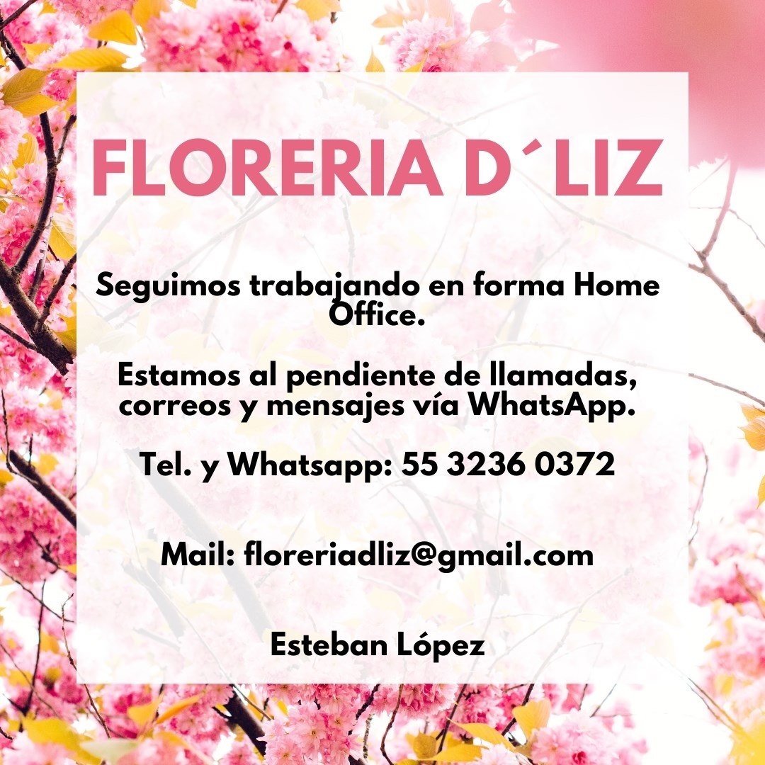 Florería D'Liz - Mercado Palacio de las Flores