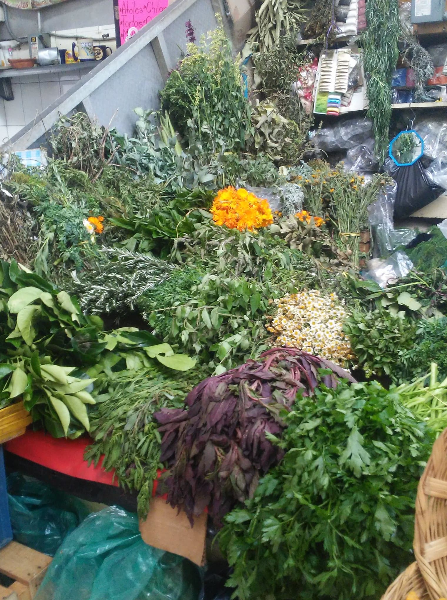  Mercado Martínez de la Torre- Herbolaria La Guera