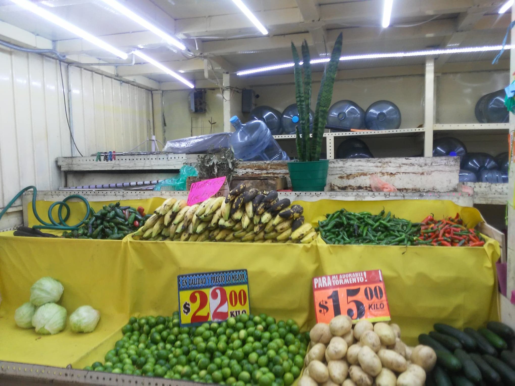  Mercado Martínez de la Torre - Las Gueras