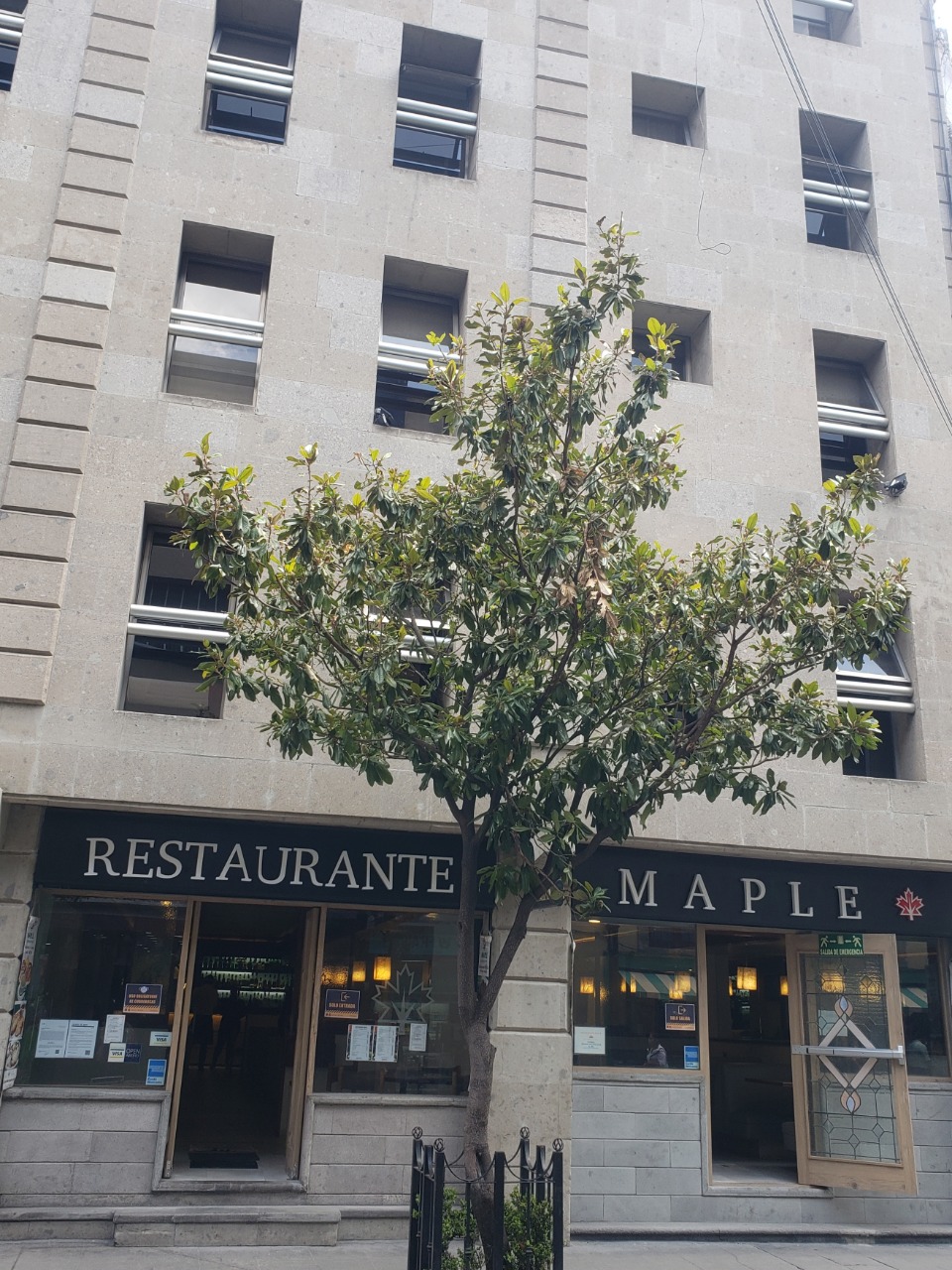 Restaurante Maple 