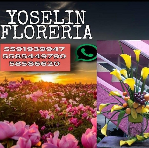 Florería Yoselin - Mercado Palacio de las Flores